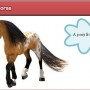 A Virtual Horse - Eem pony uit het spel