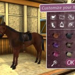 Take care of your horse game