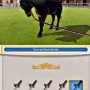 Paardentraining in riding stables 3D rivals in the saddle