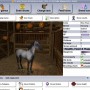 A Virtual Horse - Paardenspe