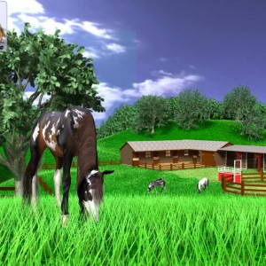 A Virtual Horse - Paardenspel